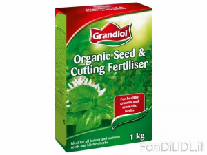 Grandiol Lidl