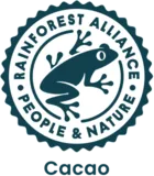 Rainforest cacao