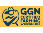 GGN