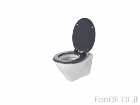 Asse per WC (Bagno, accessori, interno)