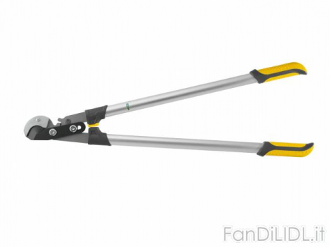 Tagliarami (Giardino)