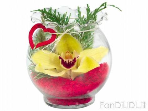 Orchidea in vaso (Fiori)