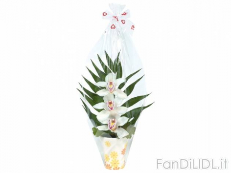 Orchidee 3 fiori (Fiori)