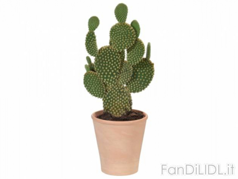 Cactus (Fiori)