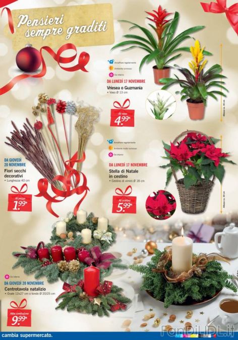 Gazetka Lidl strona 27 (Moda, abbigliamento)