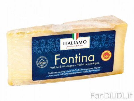 Fontina DOP (Articoli alimentari)