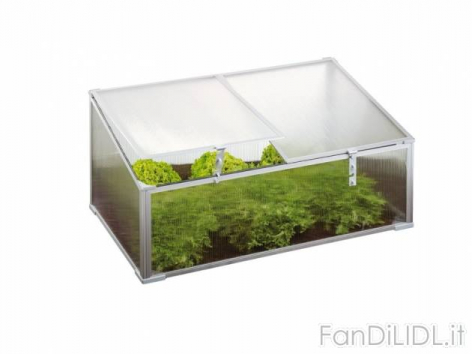 Mini serra da giardino (Giardino)