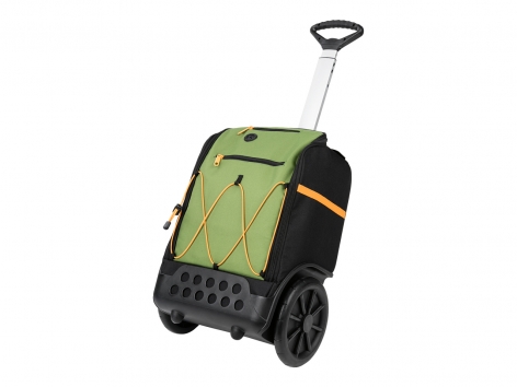 Trolley per la scuola