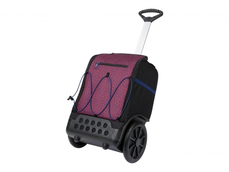 Trolley per la scuola