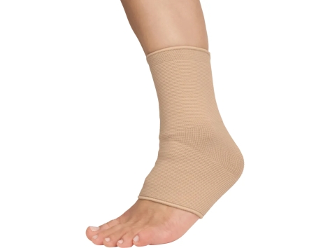 Fascia elastica