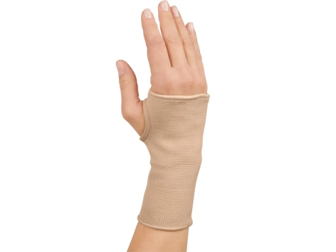 Fascia elastica