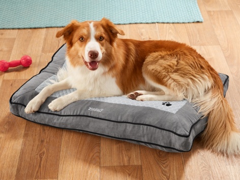 Lettino con regolazione termica per cani