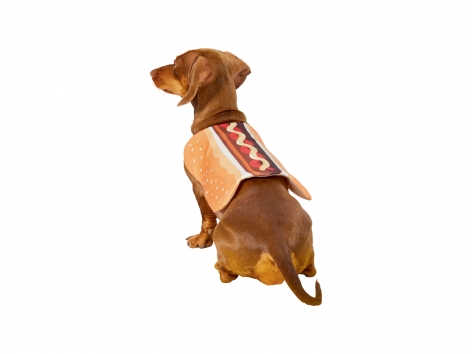 Costume per cani