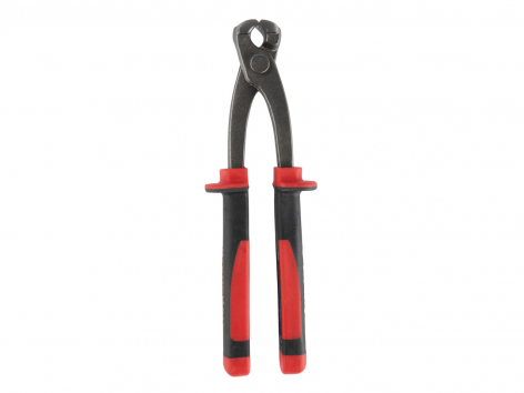 Pinza