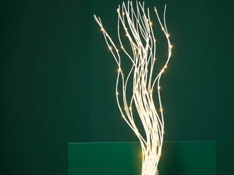 Rami luminosi LED