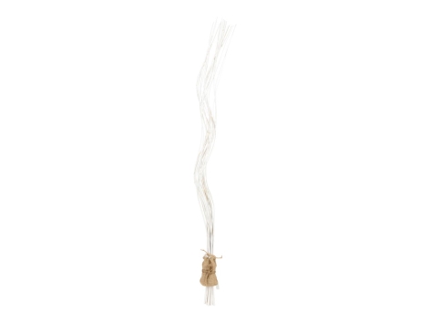 Rami luminosi LED