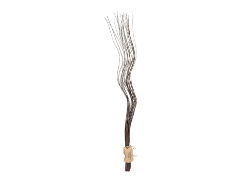 Rami luminosi LED