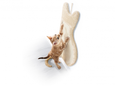 Tavoletta tiragraffi per gatti