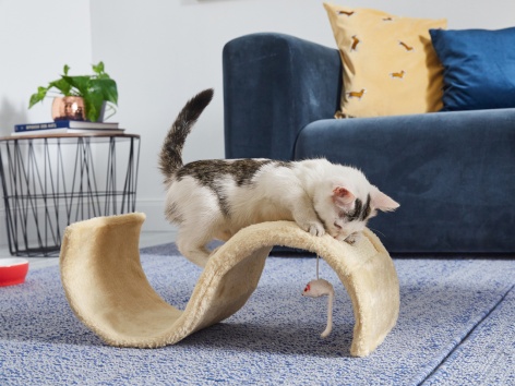 Tavoletta tiragraffi per gatti