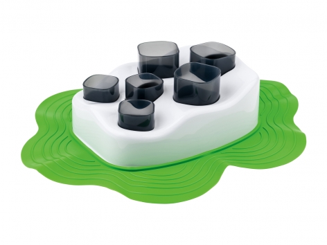 Gioco per gatti