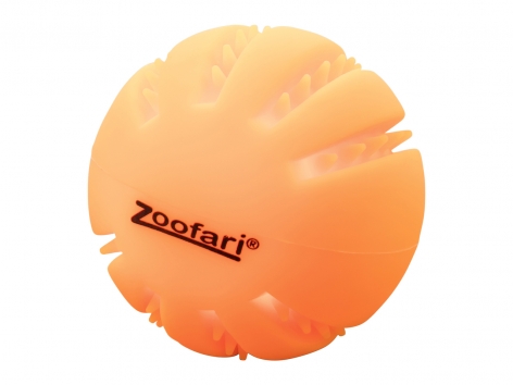 Giochi o accessori a LED per cani