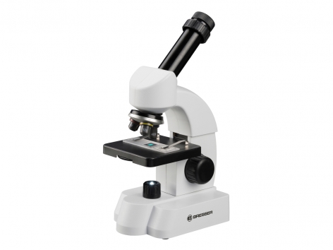 Microscopio