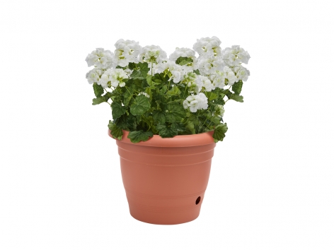 Vaso per fiori