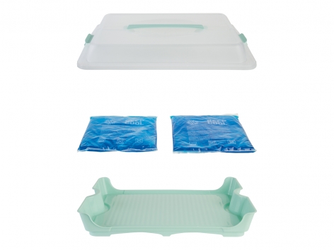 Contenitore refrigerante per snack o per torte/pic-nic