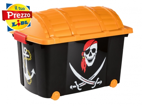 Baule contenitore 45L