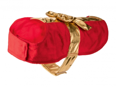Costume natalizio per cani