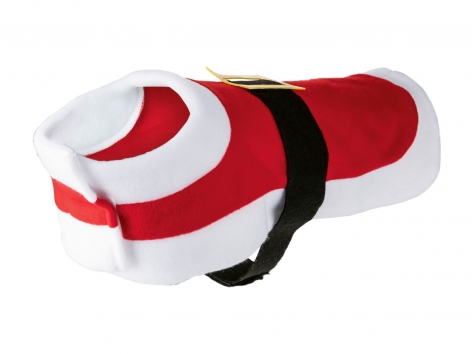 Costume natalizio per cani