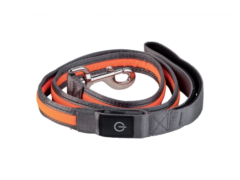 Guinzaglio o pettorina a LED per cani