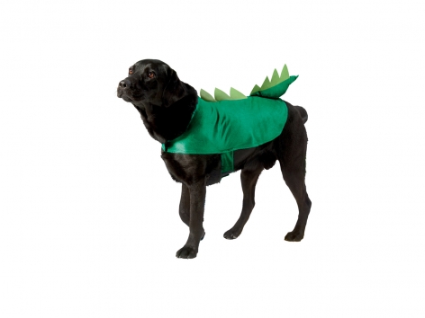 Costume per cani