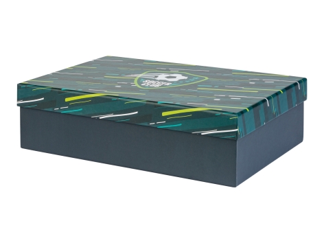 Box portaoggetti