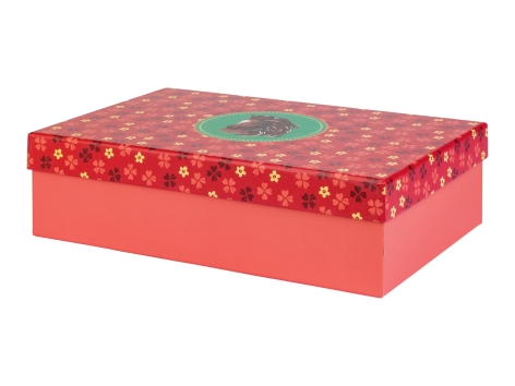 Box portaoggetti