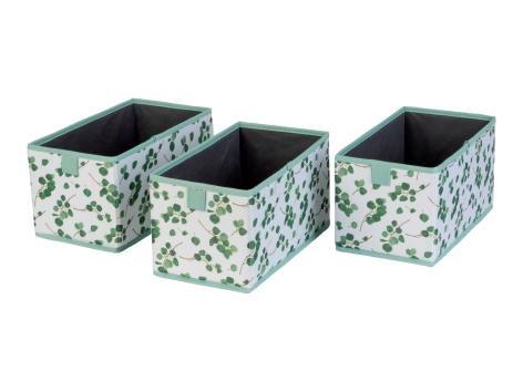 Box portaoggetti