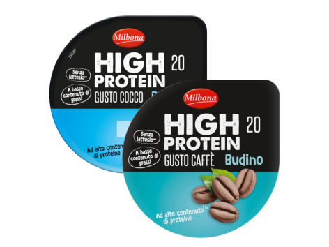 Budino proteico