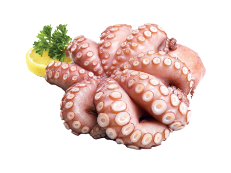 Polpo eviscerato