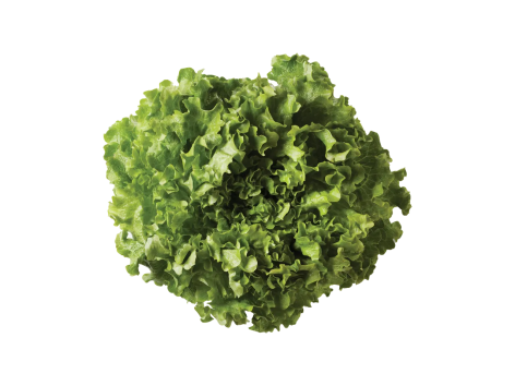 Insalata gentile
