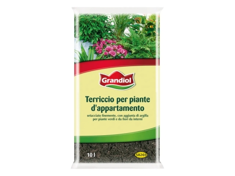 Terriccio per piante d’appartamento