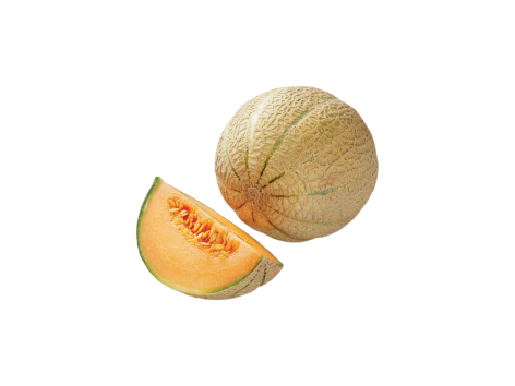 Melone retato