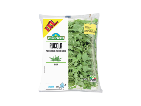 Rucola