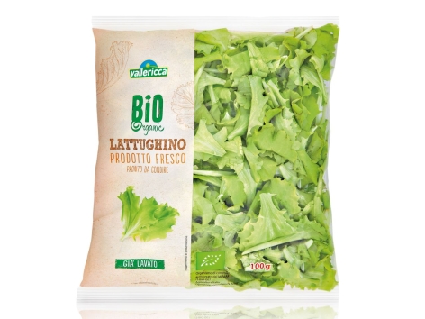 Lattughino Bio