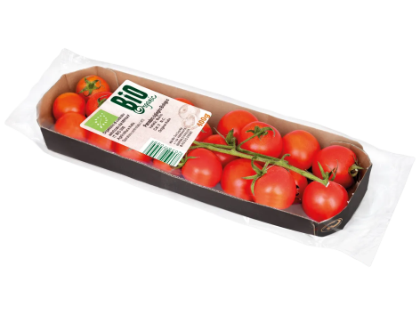 Pomodoro Ciliegino Bio