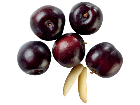 Susine