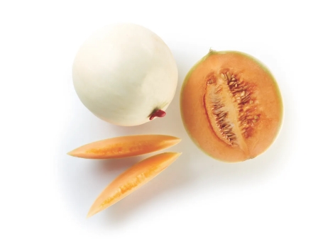 Melone liscio