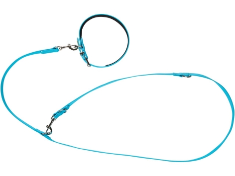 Set collare e guinzaglio per cani