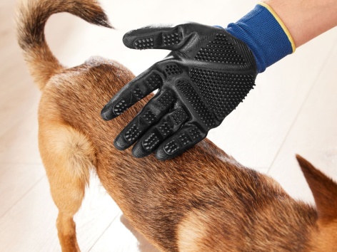 Guanto spazzola per animali