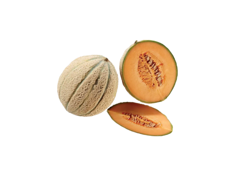 Melone Mantovano IGP