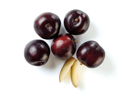Susine XXL